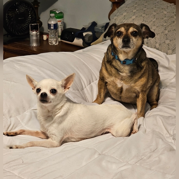 Pamcake Live Show Notification! 🥞🩷 - Picture 12 of 16